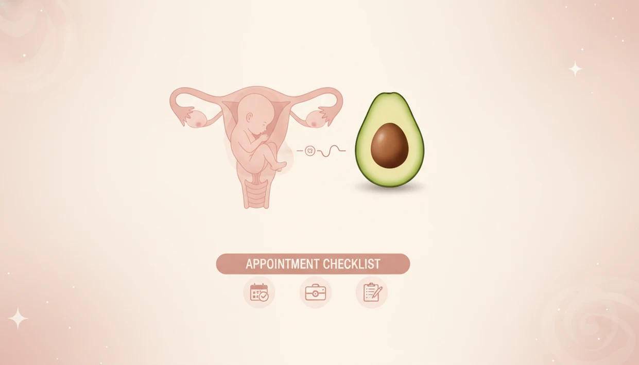 16 weeks pregnant fetus size compared with avocado