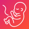 Pregnancy App